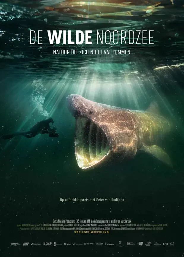 Boek: De Wilde Noordzee
