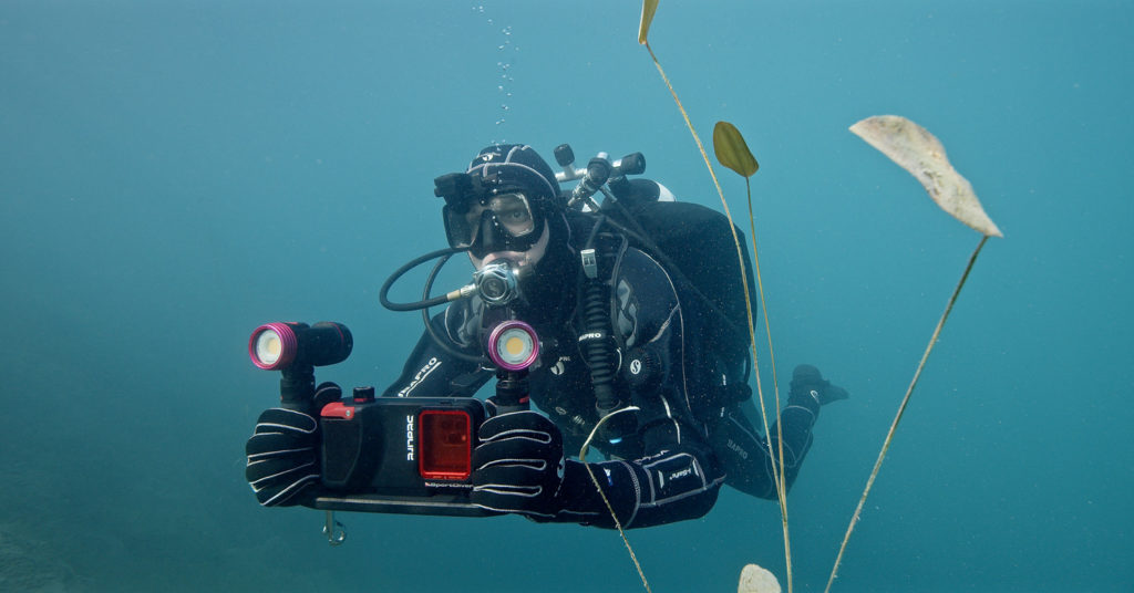 SeaLife: Flex & Connect Dual Tray #SL9904