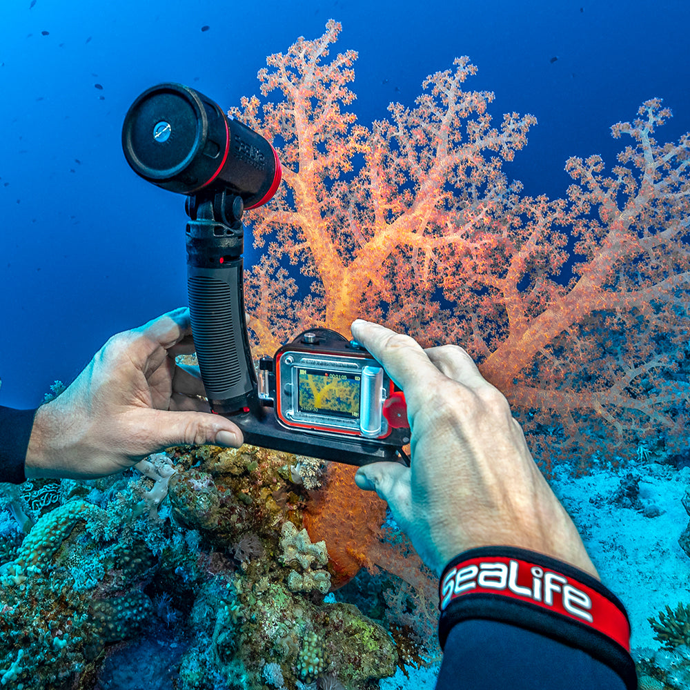 SeaLife ReefMaster RM-4K Pro 2000 Set