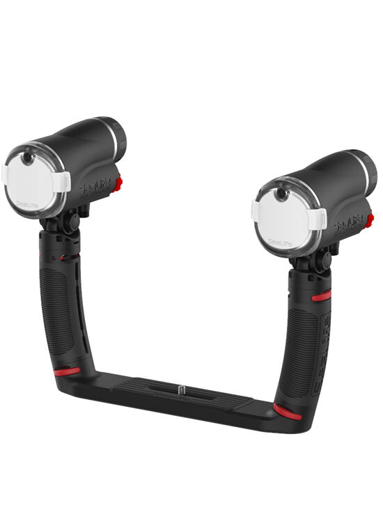 Sealife: Sea Dragon Duo Flash Set #SL988