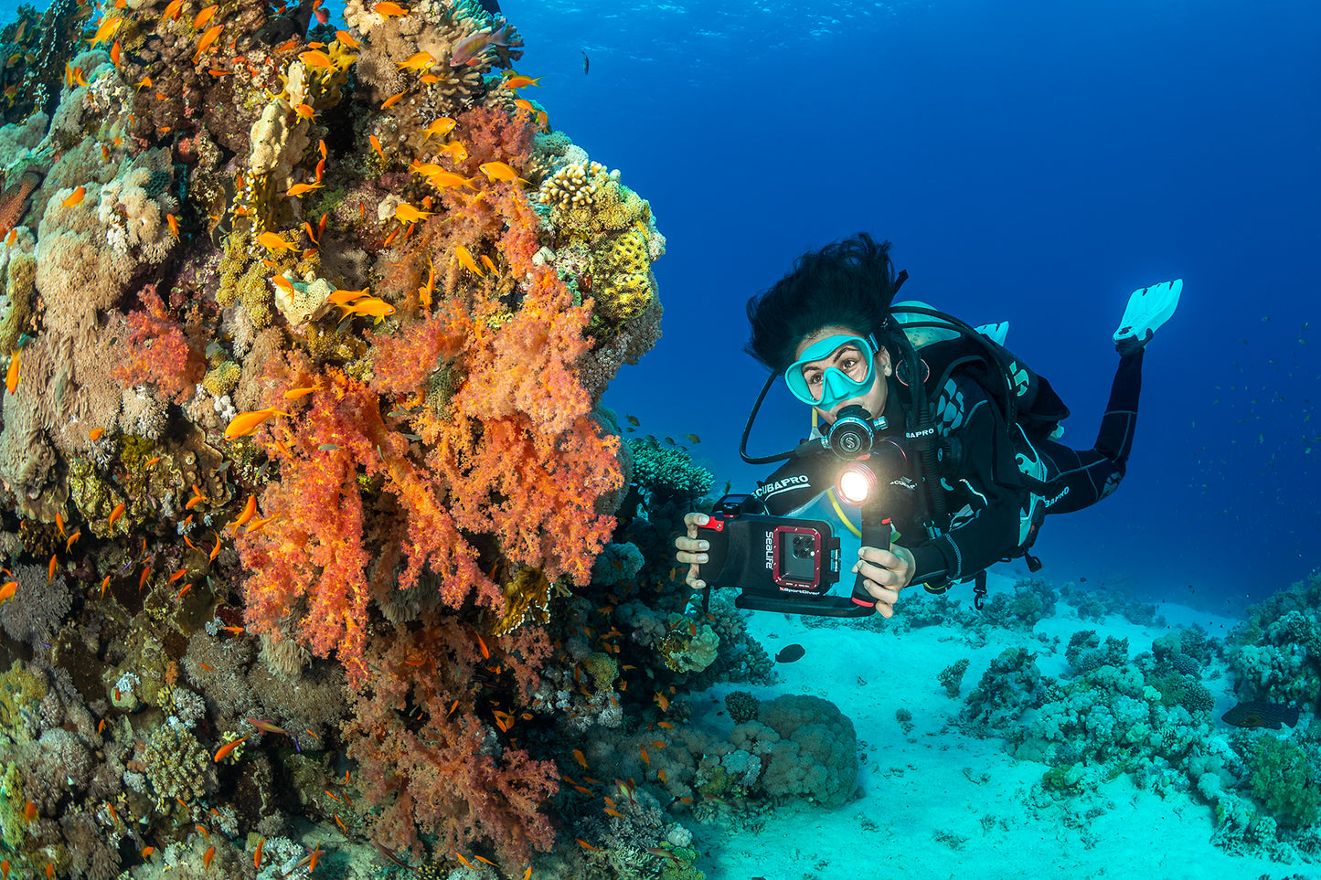 SeaLife SportDiver Underwater Smartphone Housing for iPhone & Android