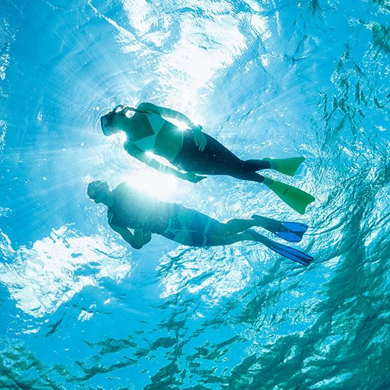 TUSA Sport Fin (New)