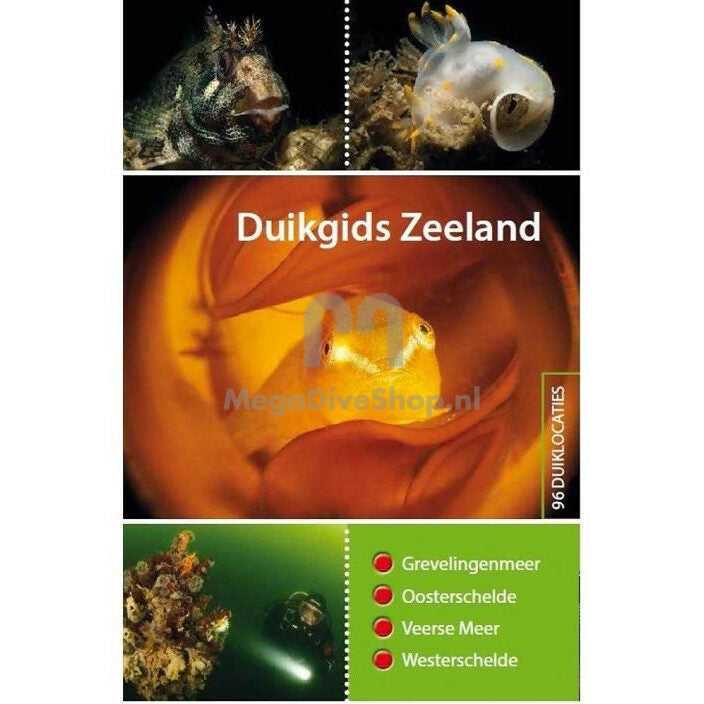 Duikgids Zeeland