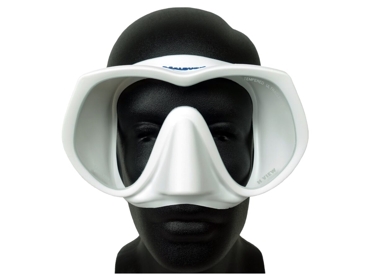 Halcyon: H-view masker