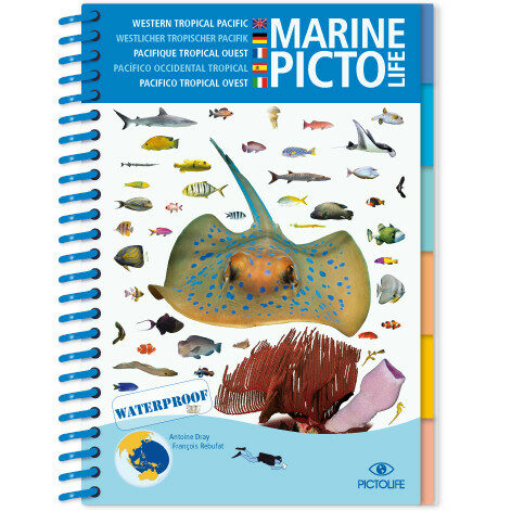 Marine Pictolife: Aziatische Oceaan