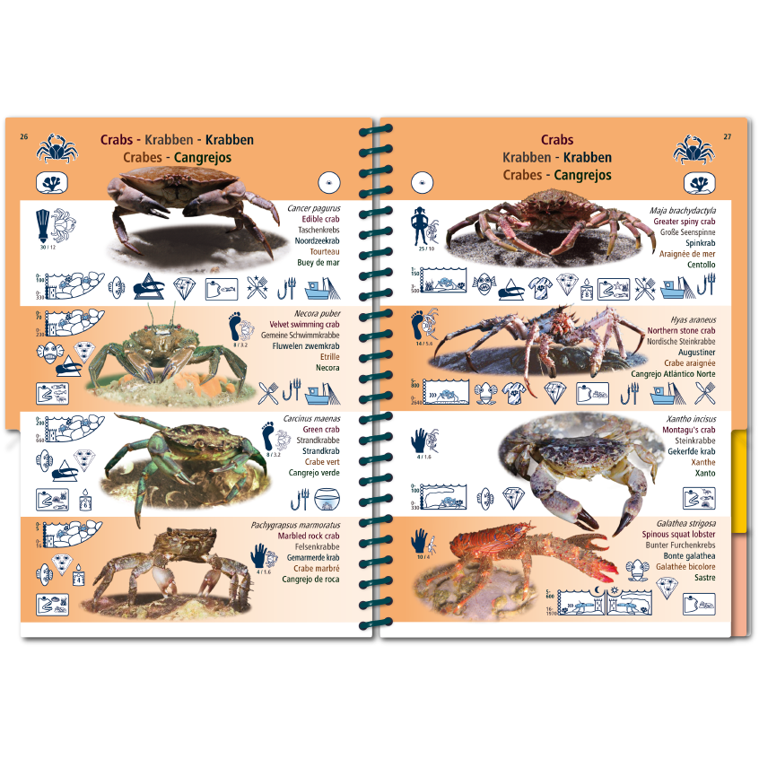 Marine Pictolife: Aziatische Oceaan