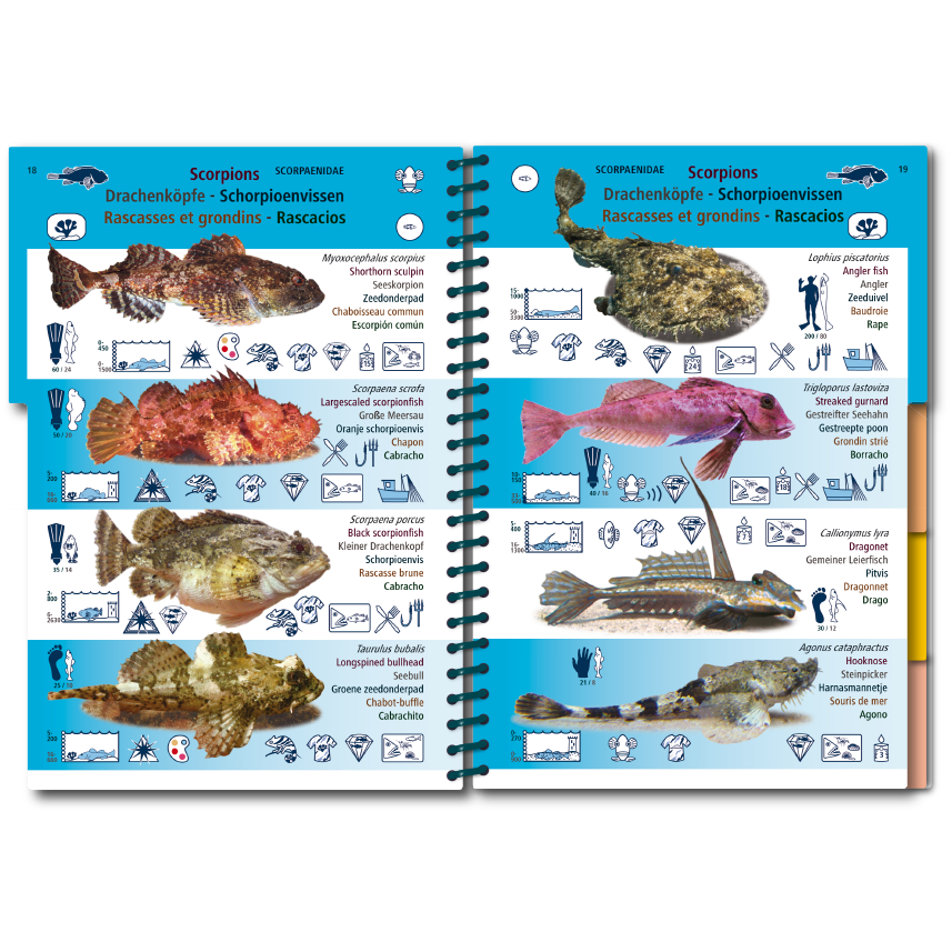 Marine Pictolife: Aziatische Oceaan