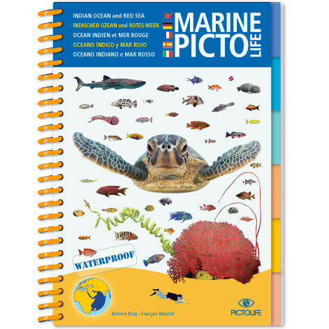 Marine Pictolife: Indische Oceaan en Rode Zee