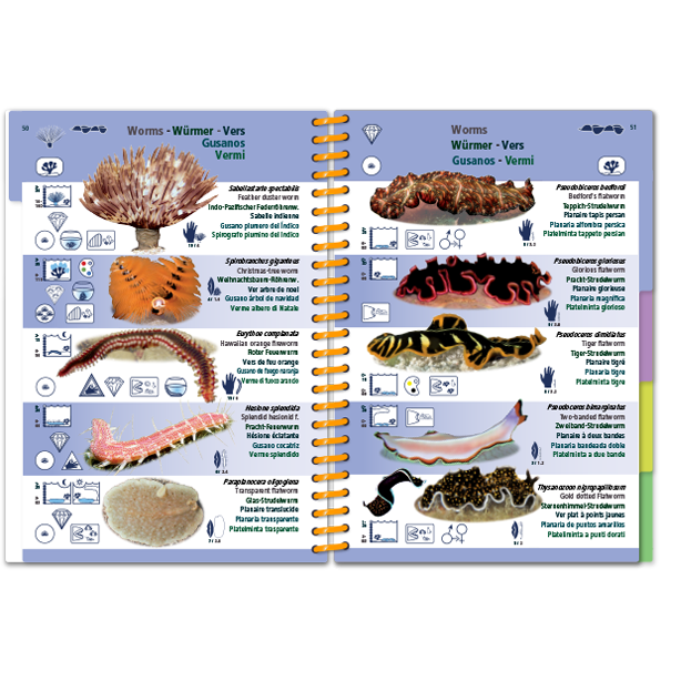 Marine Pictolife: Indische Oceaan en Rode Zee