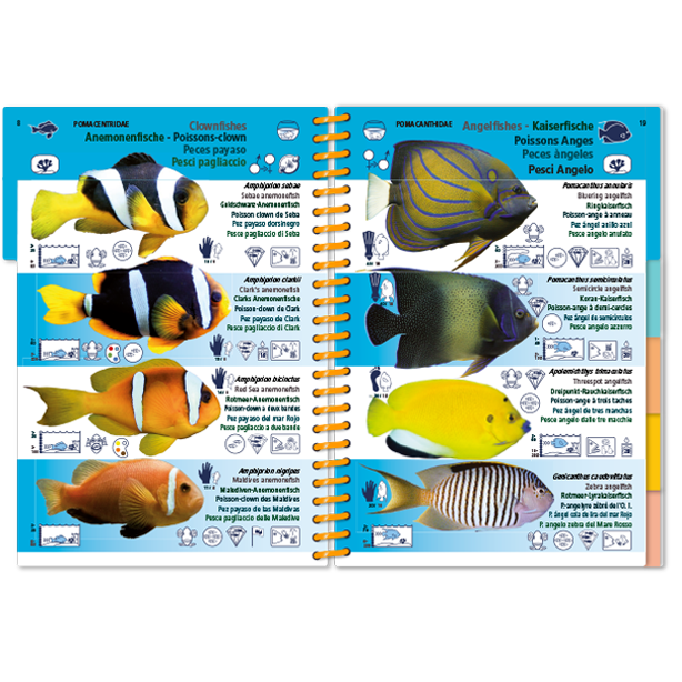 Marine Pictolife: Indische Oceaan en Rode Zee