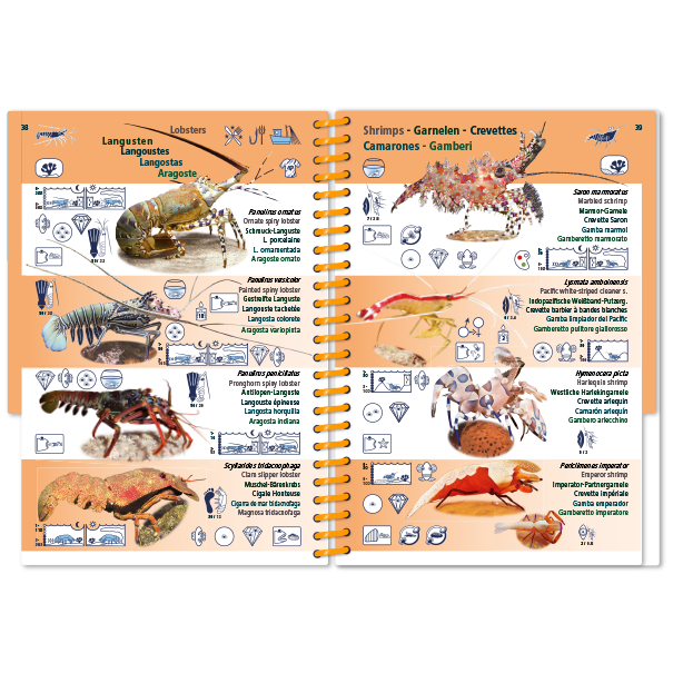 Marine Pictolife: Indische Oceaan en Rode Zee
