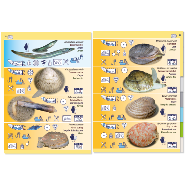 Marine Pictolife: Low Tide