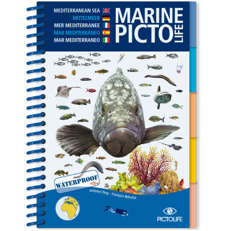 Marine Pictolife: Middellandse zee