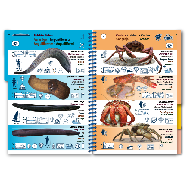 Marine Pictolife: Middellandse zee