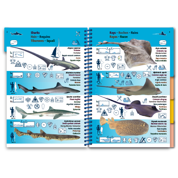 Marine Pictolife: Middellandse zee