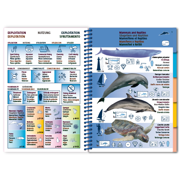 Marine Pictolife: Middellandse zee