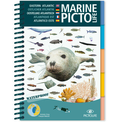 Marine Pictolife: Oost Atlantische