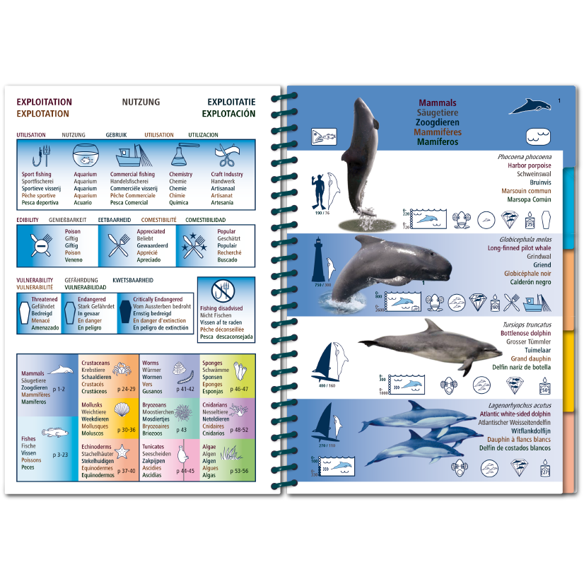 Marine Pictolife: Oost Atlantische