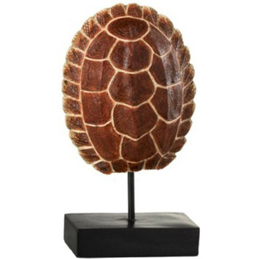 Schildpad schild op voet