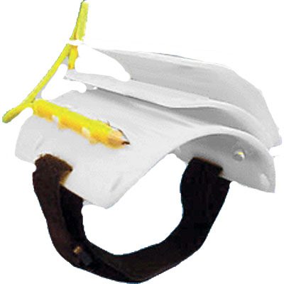 Trident: Polslei