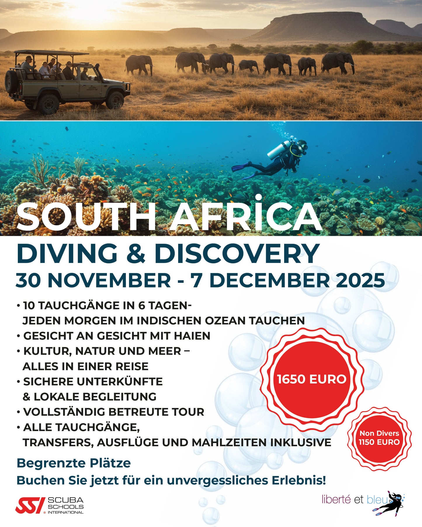 Zuid-Afrika Umkomaas Duikavontuur | 30 nov - 7 dec 2025