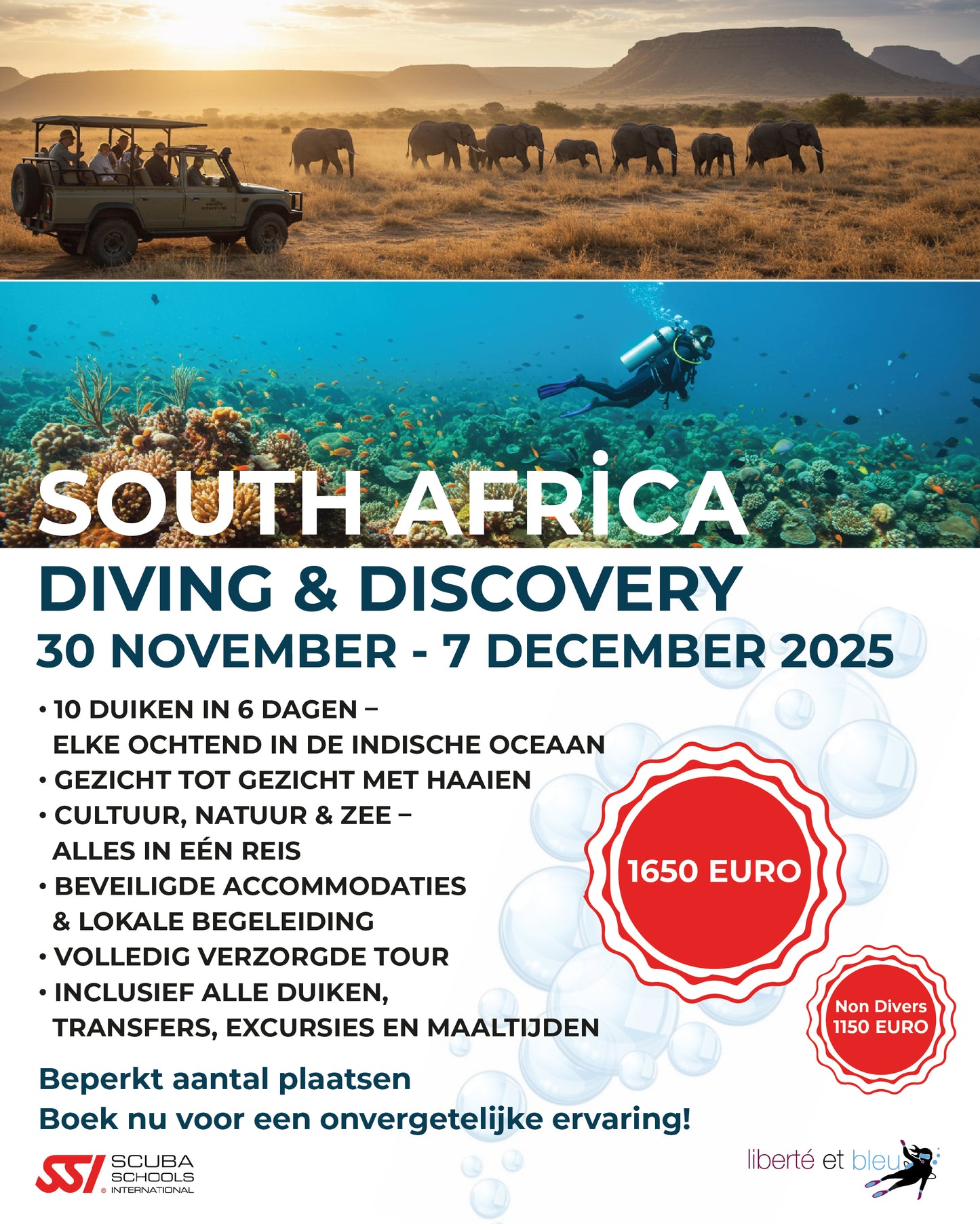 Zuid-Afrika Umkomaas Duikavontuur | 30 nov - 7 dec 2025