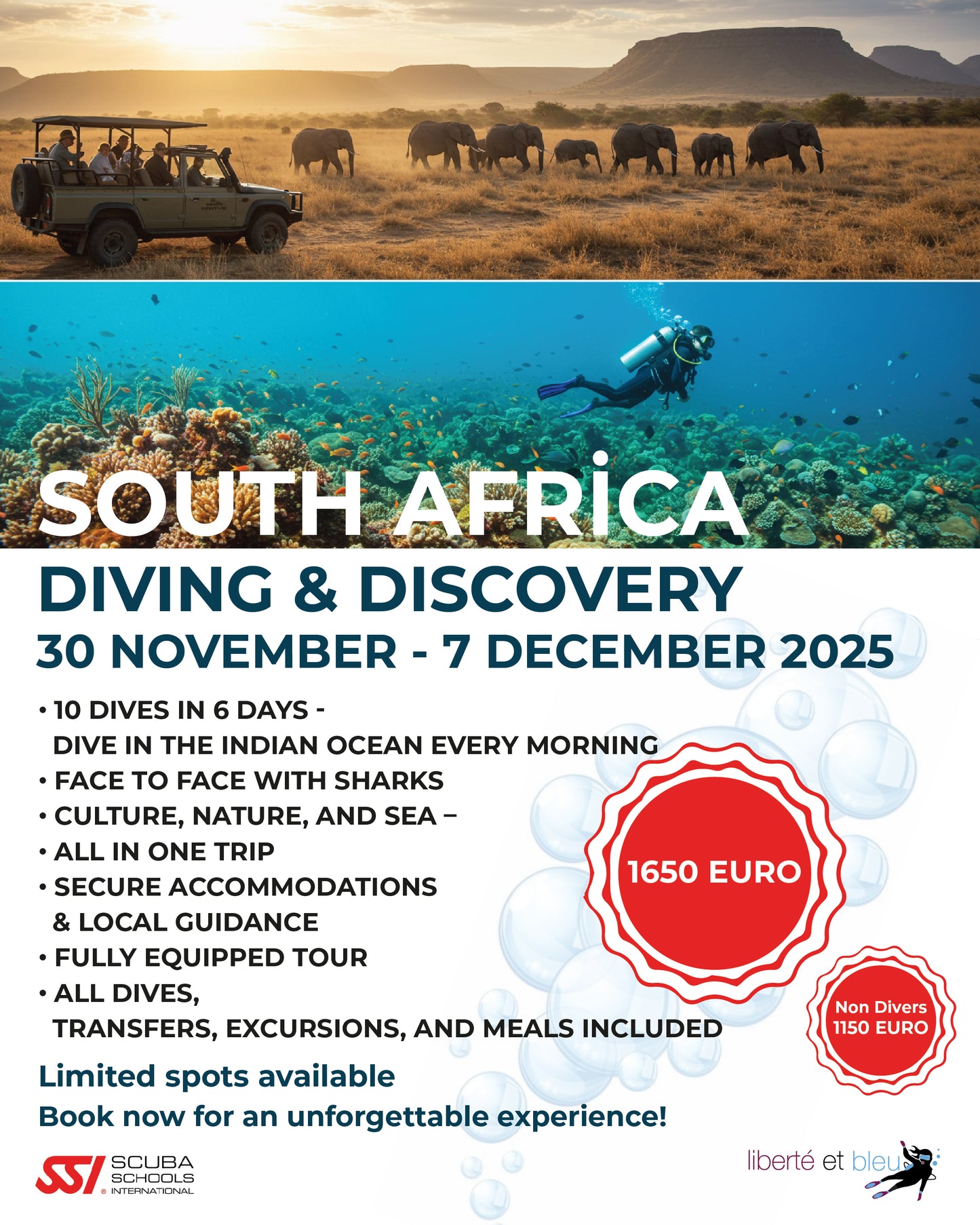 Zuid-Afrika Umkomaas Duikavontuur | 30 nov - 7 dec 2025